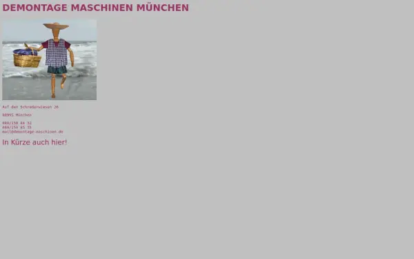 demontage-maschinen.de