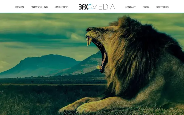 www.3fx-media.de