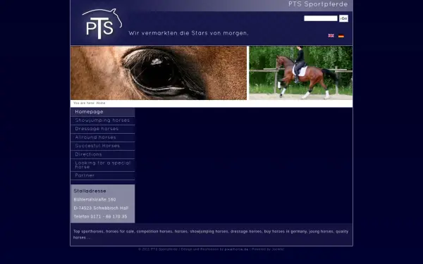 pts-sportpferde.de