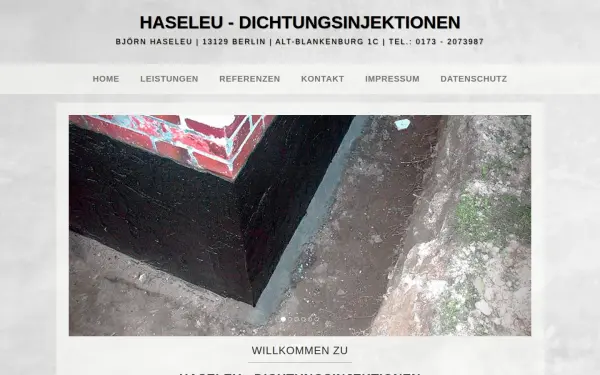 haseleu-abdichtungen.de