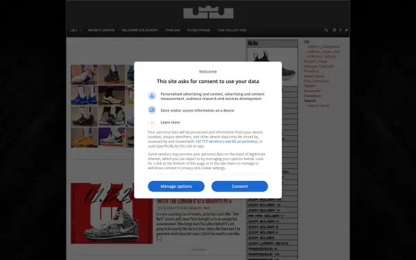 nikelebron.net