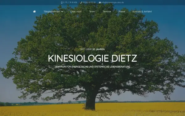 kinesiologie-dietz.de