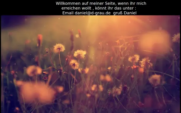 d-grau.de