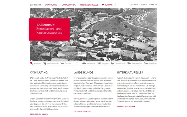 www.basiconsult.com