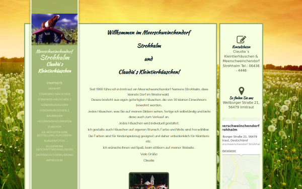 meerschweinchendorf.de