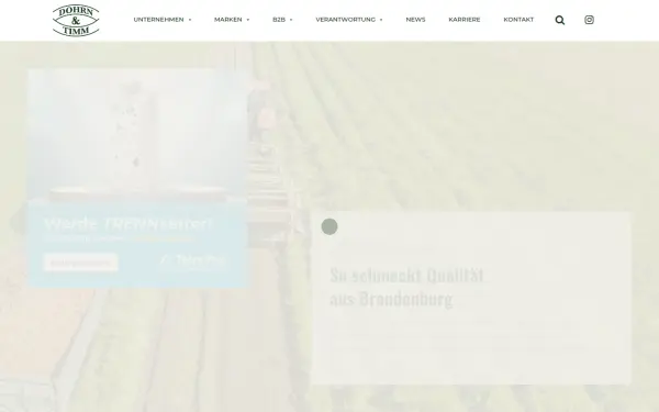 dohrn-und-timm.de