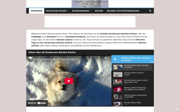 www.bolonka-zwetna-portal.de