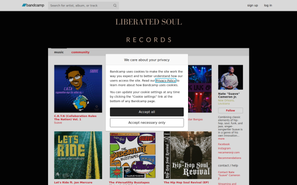 suaveishere.bandcamp.com
