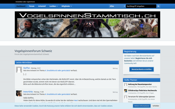 vogelspinnenforum.ch
