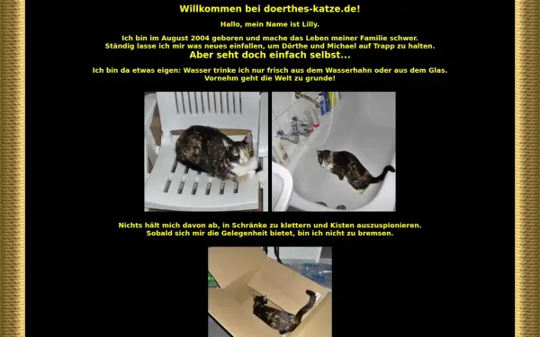 www.doerthes-katze.de