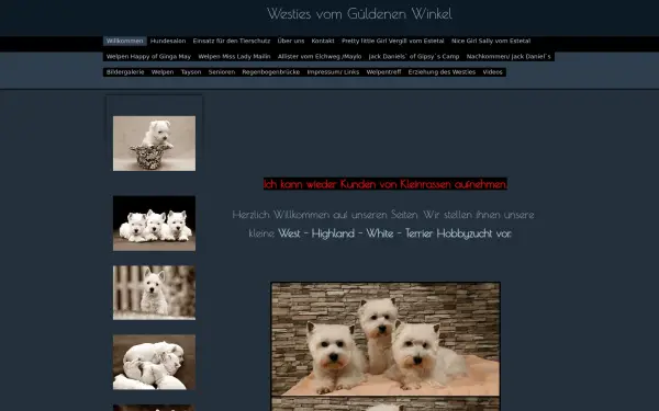 www.westiesvomgueldenenwinkel.de