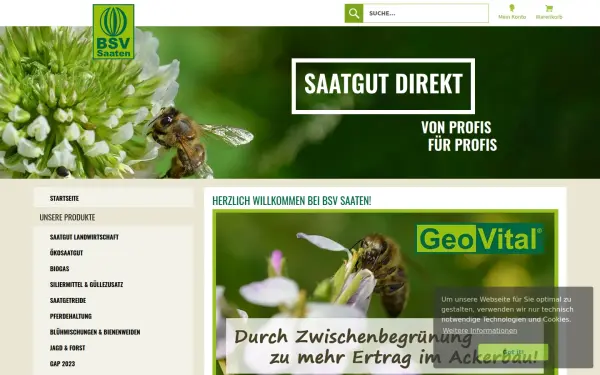 bsv-saaten.de