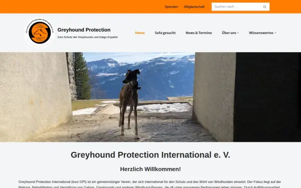 www.greyhoundprotection.de