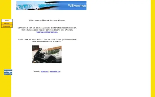bendzin.de