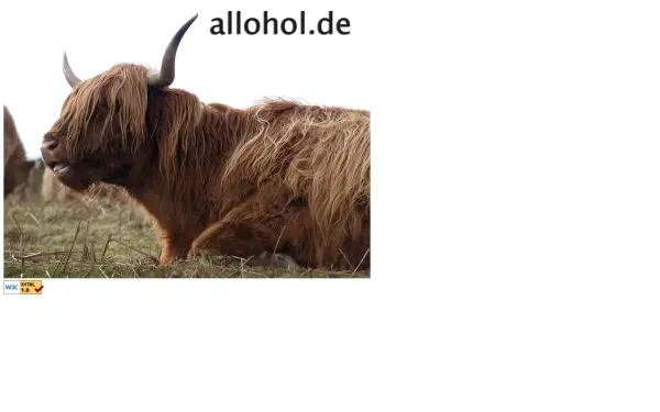 allohol.de