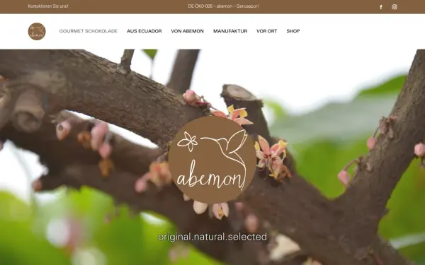 www.abemon.de