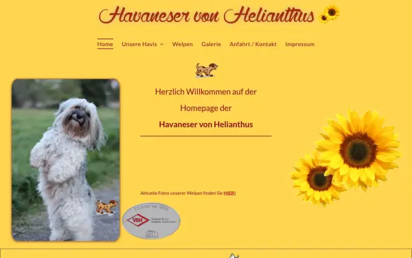 www.havaneser-babys.de