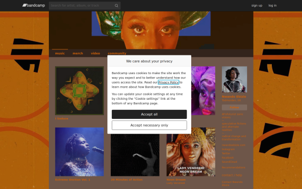 nwandoebizie.bandcamp.com