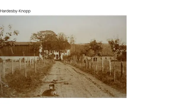 hardesby-knopp.de