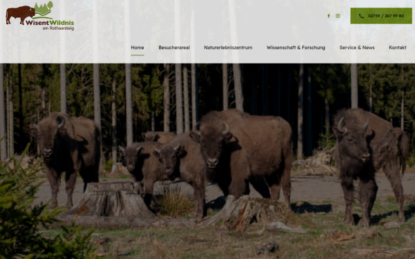 www.wisent-wildnis.de
