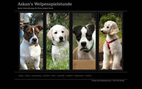 askans-welpenspielstunde.de