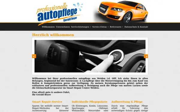 professionelleautopflege.de