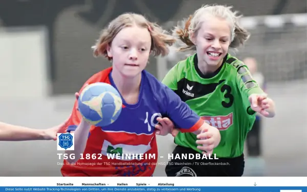 handball-tsg-weinheim.de