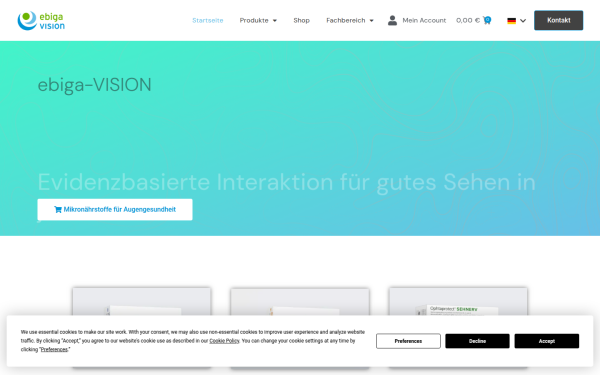 ebiga-vision.com