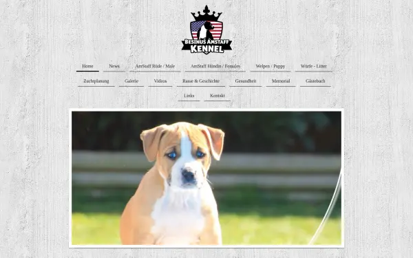 amstaff-amarok.de