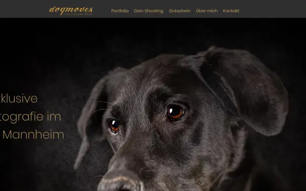 www.dogmoves.de