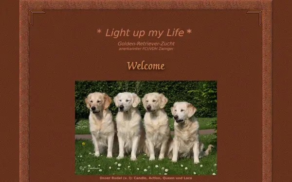 goldenretriever-lightupmylife.de