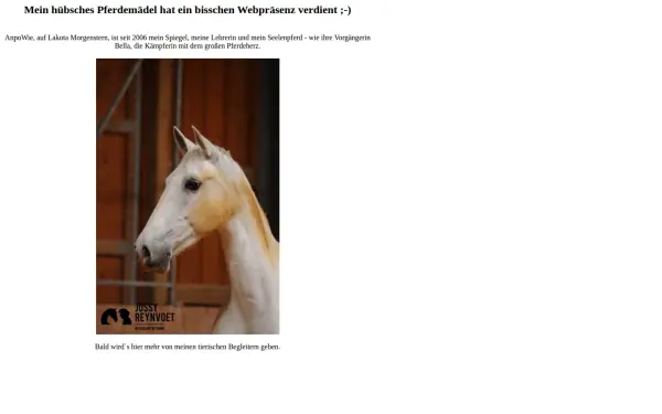 anpowie.de