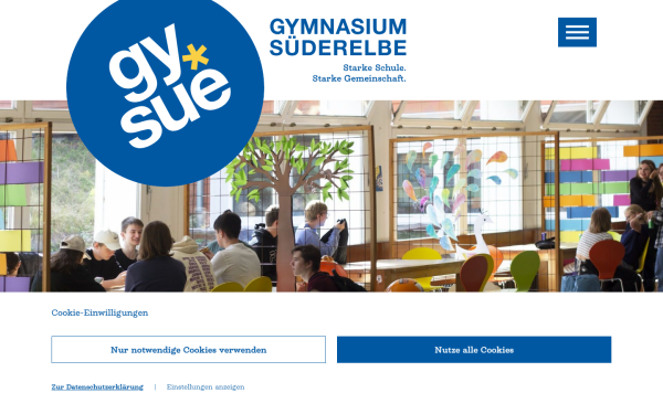 gymnasium-suederelbe.de