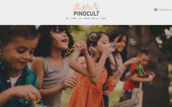 www.pinocult.at