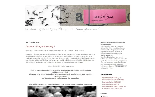 www.ameizon.de