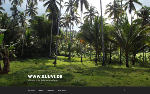 www.guuvi.de
