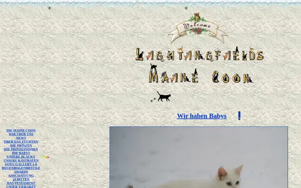 lightingfieldsmainecoon.de