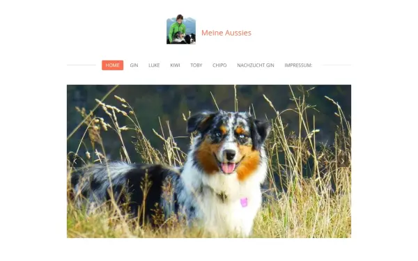 www.meine-aussies.de