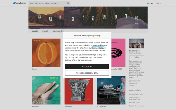 palmiyeler.bandcamp.com