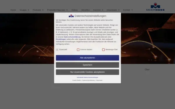 www.meierguss.de