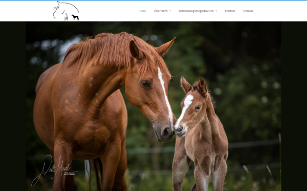 pferde-physio-nds.de