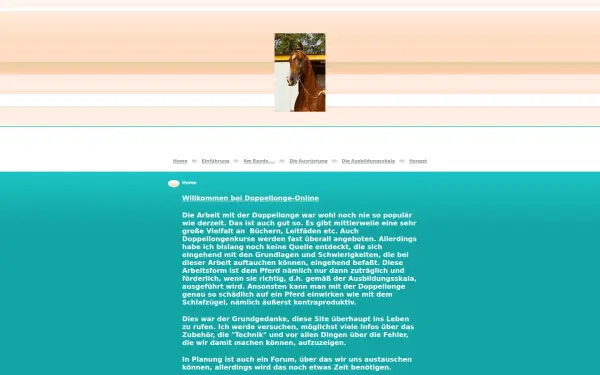 doppellonge-online.de