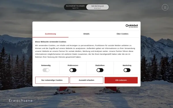 www.skischule-kleinarl.at