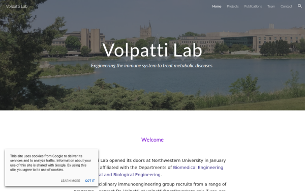 www.lisarvolpatti.com