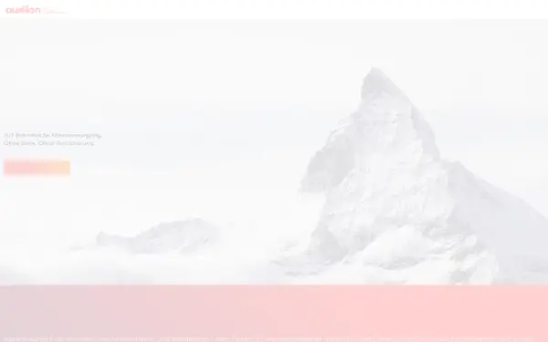 auxilion.de