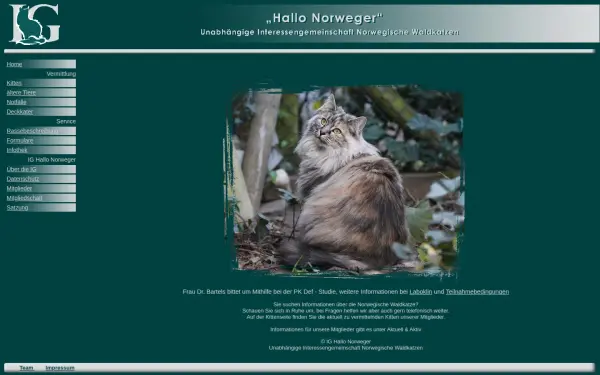 hallo-norweger.de