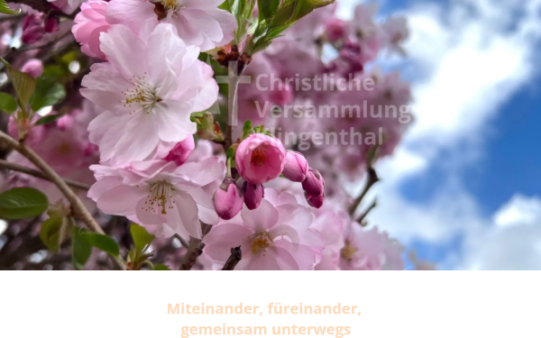 www.cv-klingenthal.de