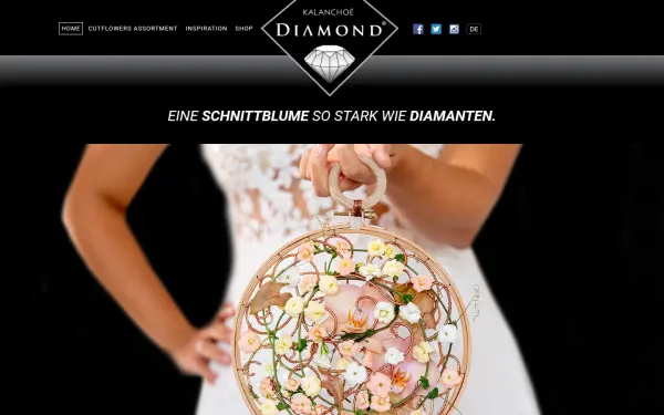 www.diamondkalanchoe.de