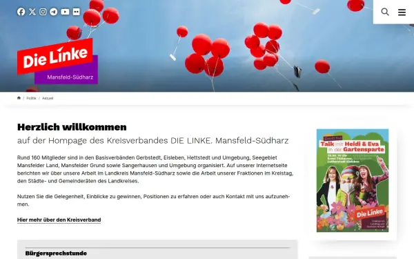 www.dielinke-msh.de