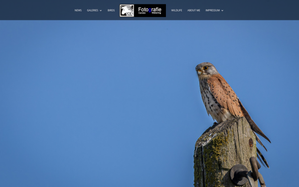 www.waesserling.photography